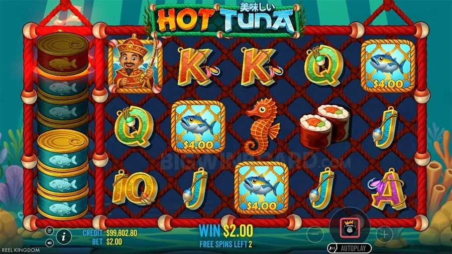 ace291 Video Poker Strategy Guide